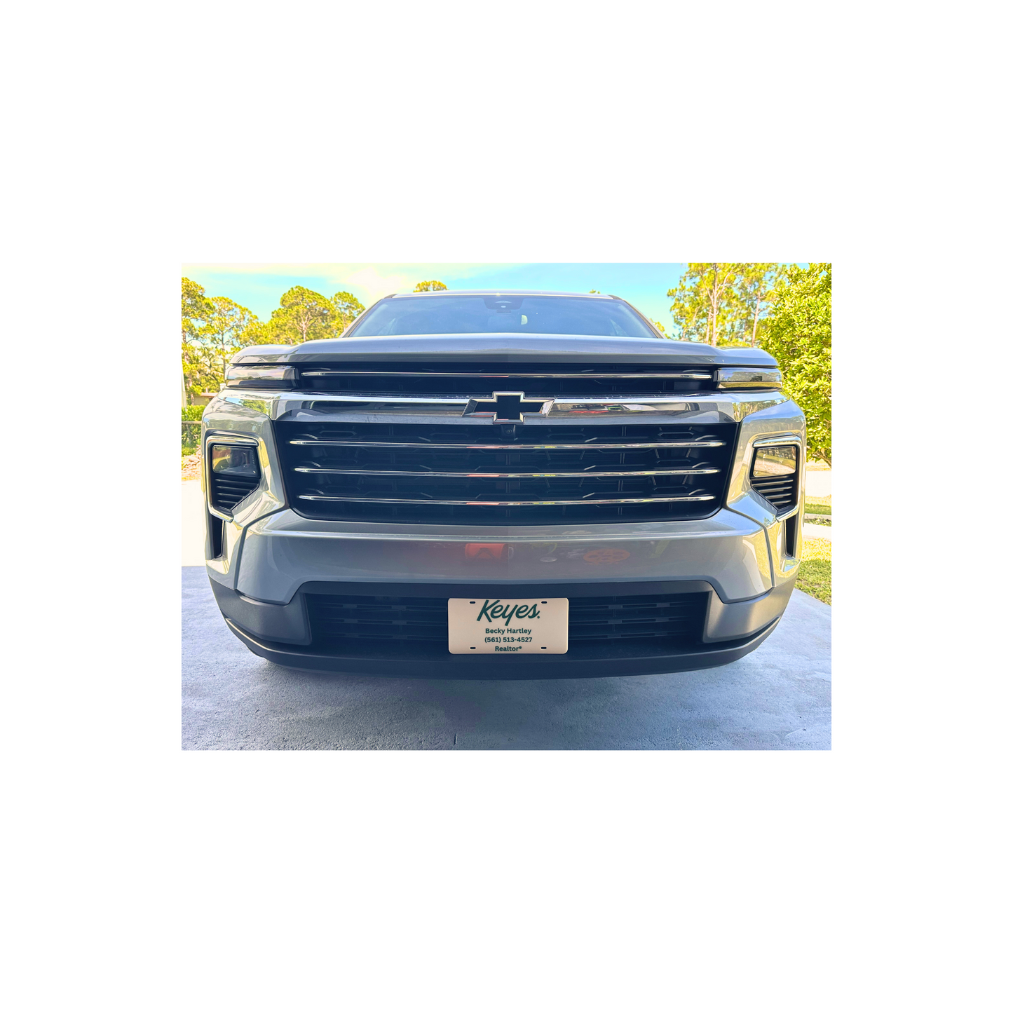 Customized License Plate - 'Keyes' Logo with 3 Customizable Lines (Natural with Green Text/Numbers)