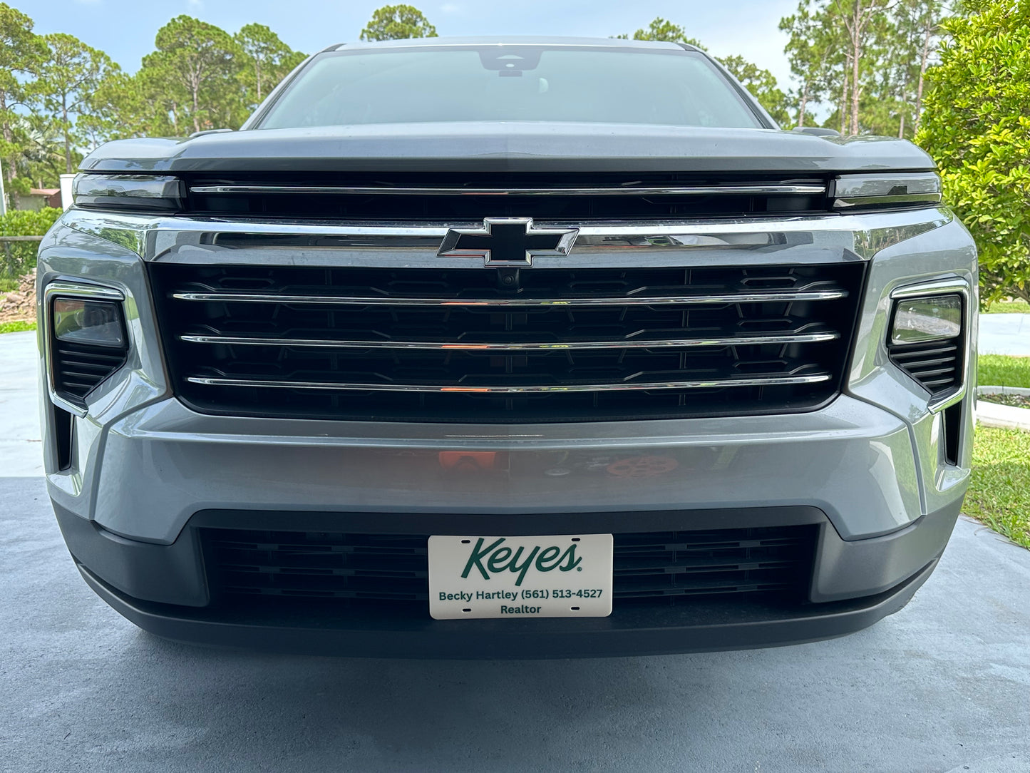 Customized License Plate - 'Keyes' Logo with 2 Customizable Lines (Natural with Green Text/Numbers)